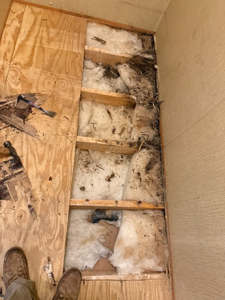 Open floor framing with insulation exposed during a residential remodel